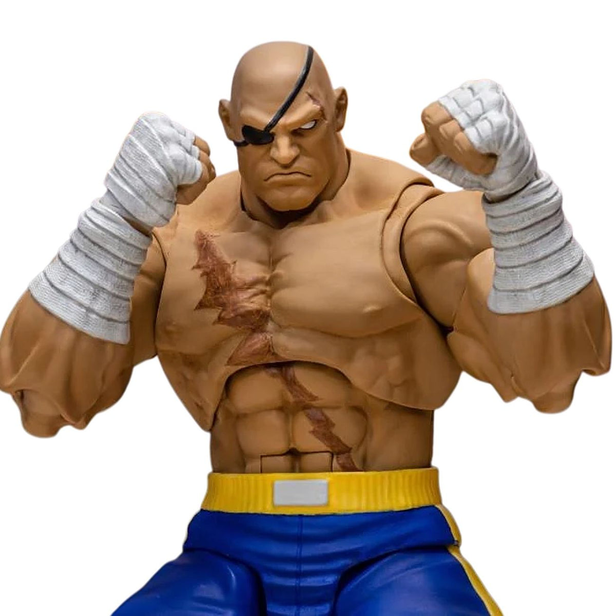 Figura Accion Street Fighter Alpha 3 Storm Arena Sagat