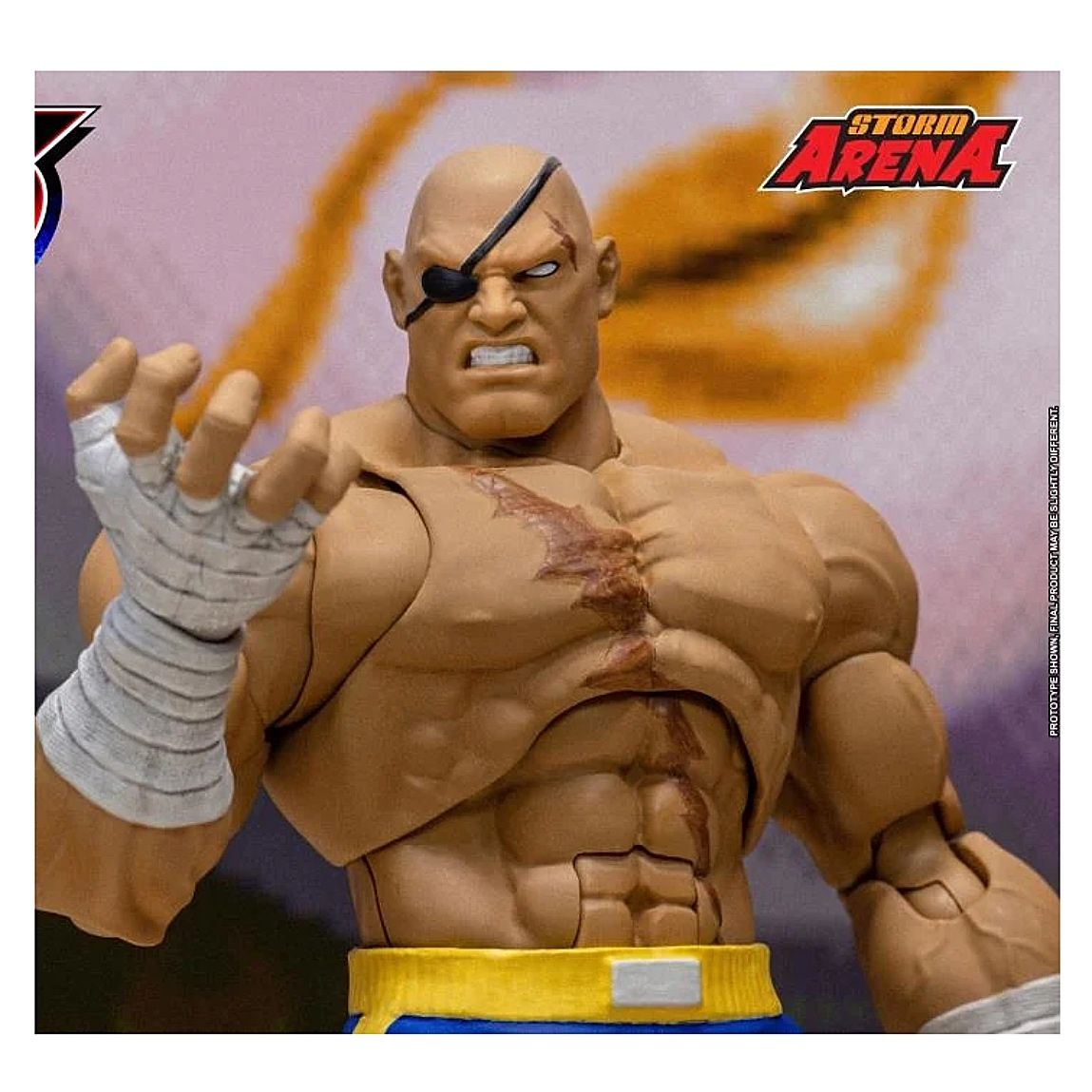 Figura Accion Street Fighter Alpha 3 Storm Arena Sagat