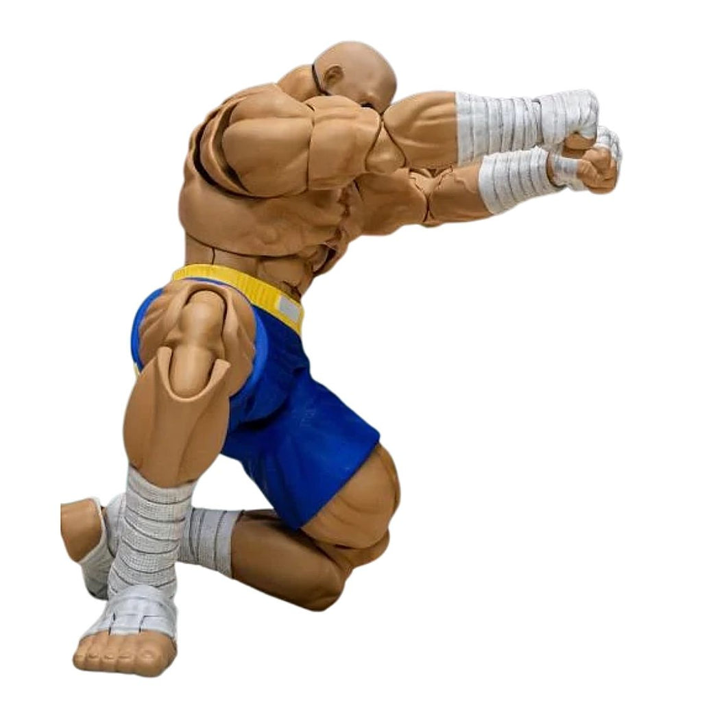 Figura Accion Street Fighter Alpha 3 Storm Arena Sagat
