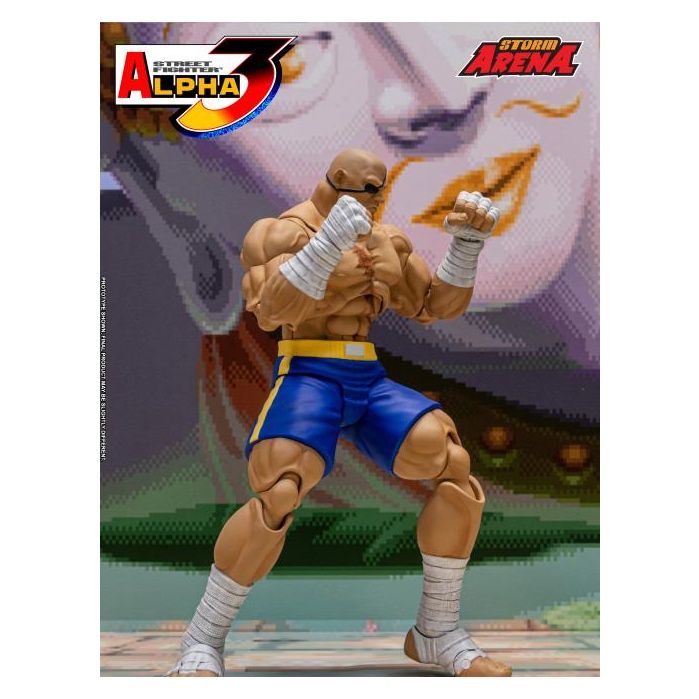 Figura Accion Street Fighter Alpha 3 Storm Arena Sagat