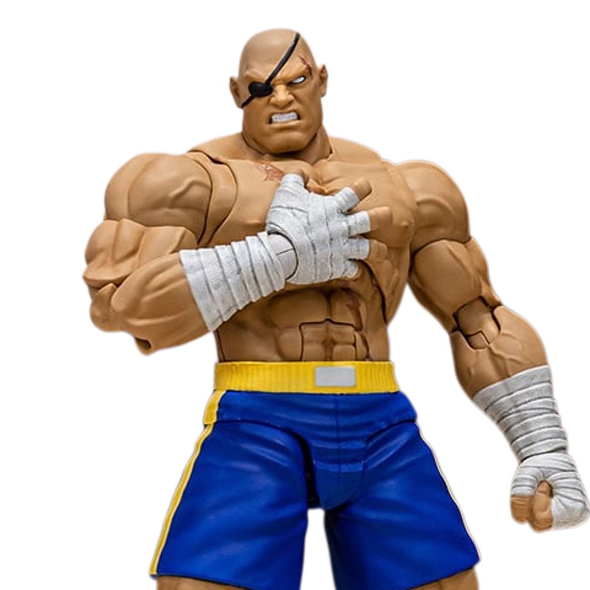 Figura Accion Street Fighter Alpha 3 Storm Arena Sagat