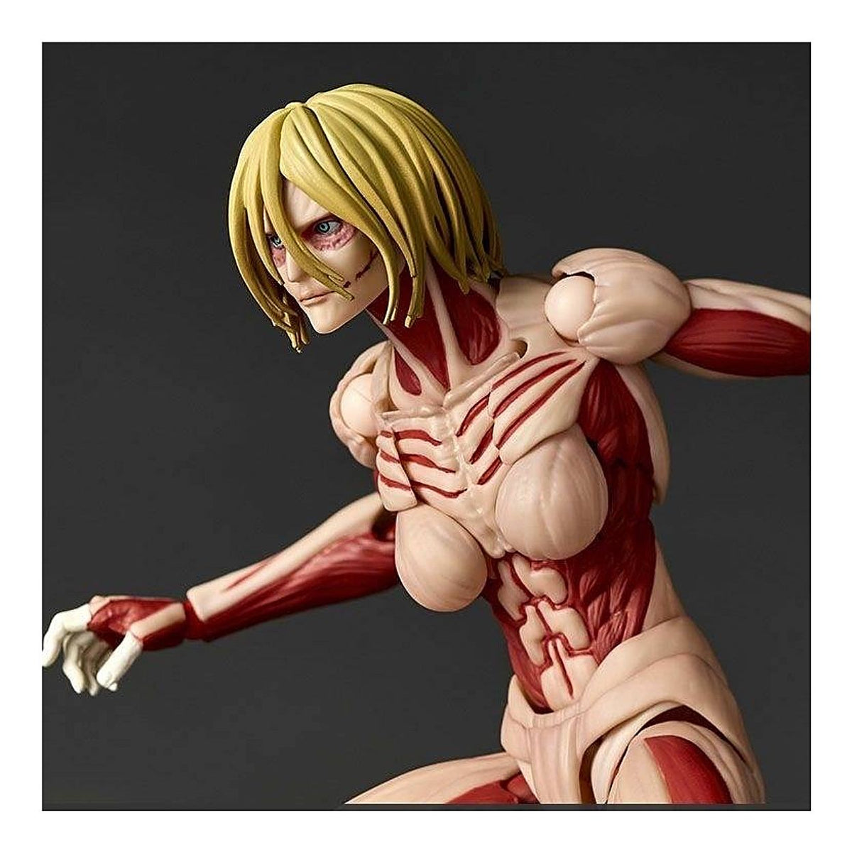 Attack on Titan Amazing Yamaguchi Revoltech Female Titan + Bonus